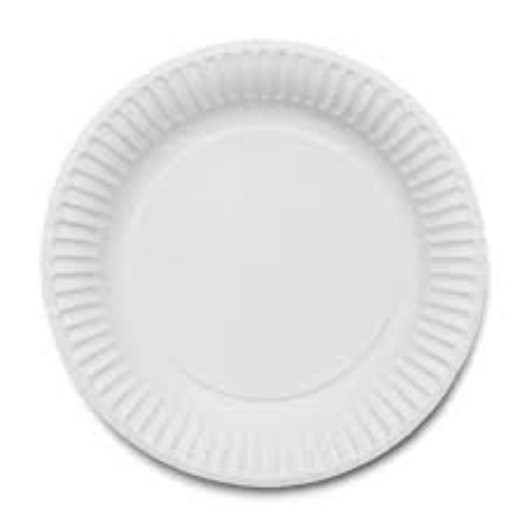ECSTACY 9'' PAPER PLATE WHITE